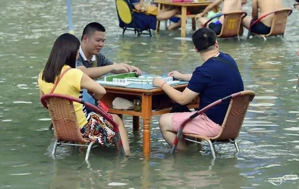 搞笑gif动图:三伏天泡水里打麻将,这样的人生那叫一个