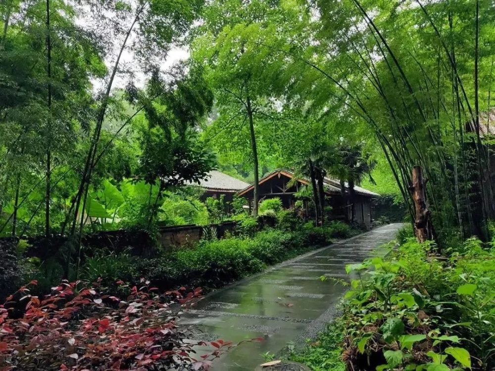 向往的归居田园生活,从川西林盘开始