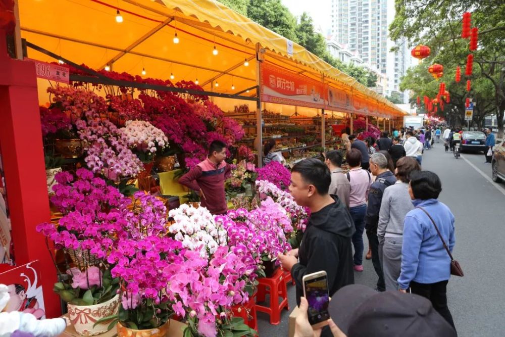 花市已开锣 广州人热闹行花街!