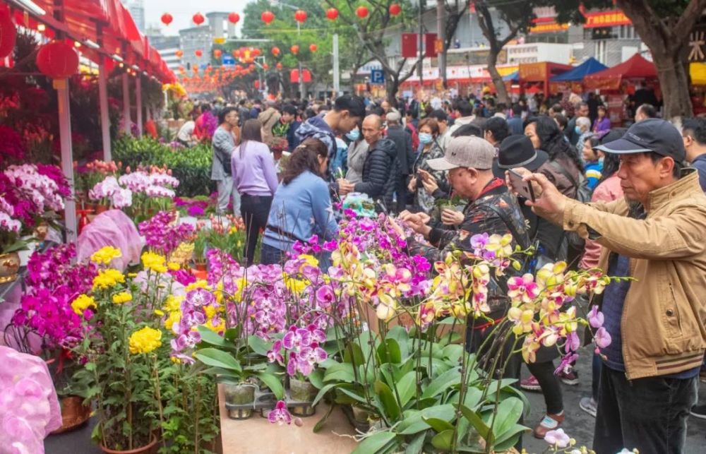 行花街,花市,海珠花市,黄埔体育中心,牌楼,迎春花市