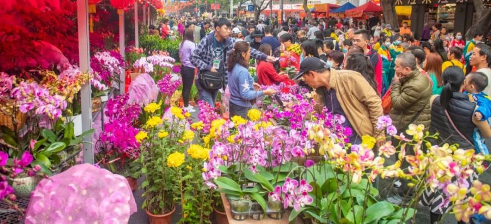 花市已开锣 广州人热闹行花街!