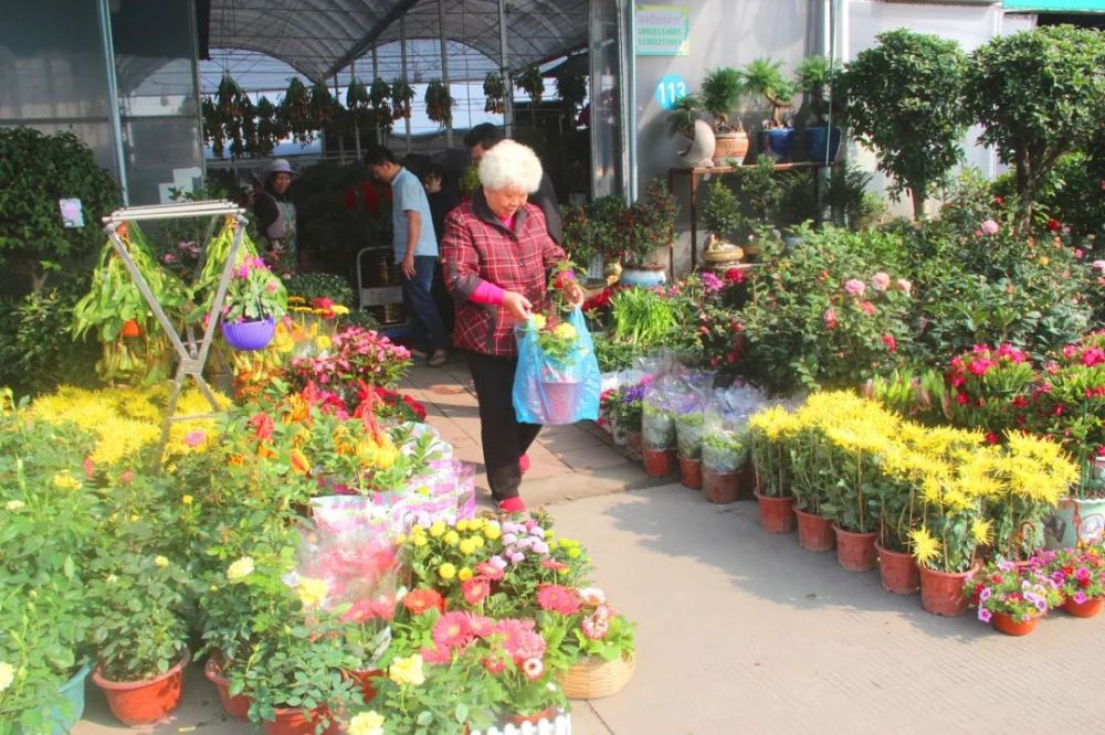 市场内(花卉之都) 交通: 公交:花卉世界公交站 今年花都花市牌楼主题