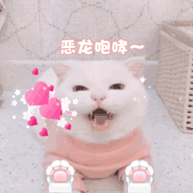 冬天就适合赖在被窝里