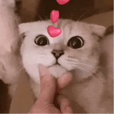 冬天就适合赖在被窝里