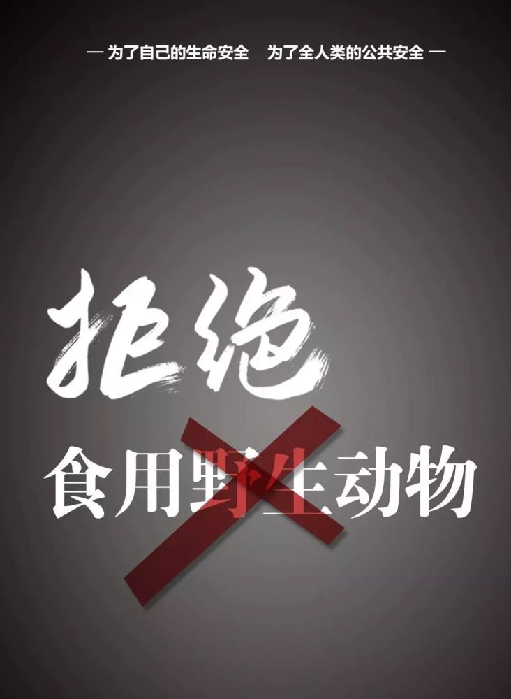 拒绝野味!