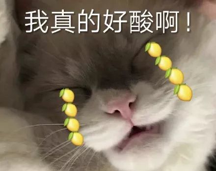 搞笑都是猫咪表情包,不行!我受不了这委屈!