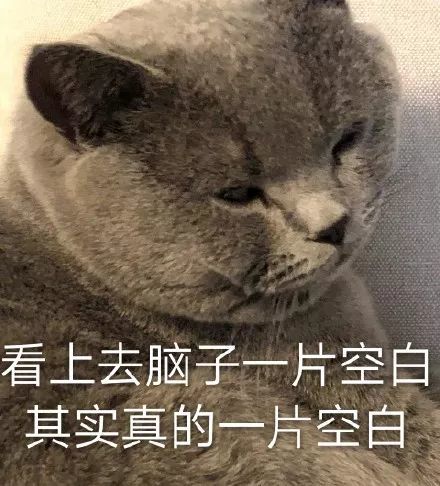 搞笑都是猫咪表情包,不行!我受不了这委屈!