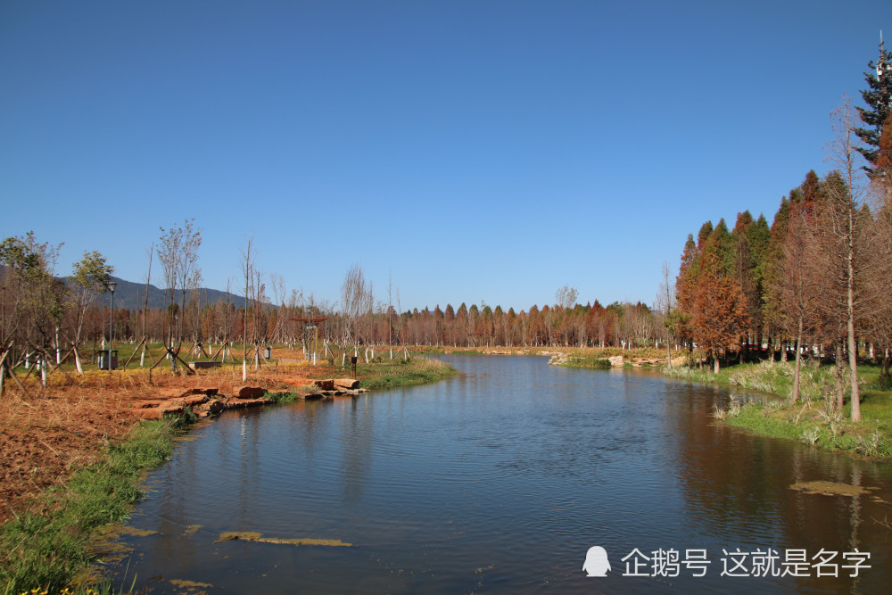 过年新去处——昆明海洪湿地公园