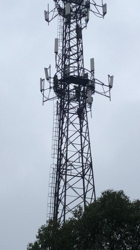 两天!中国移动开通武汉"小汤山"首个5g基站