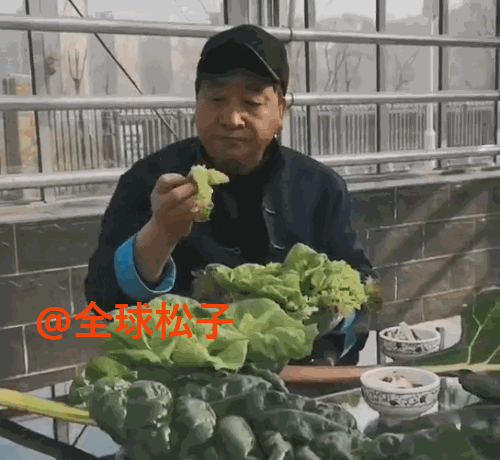 姜昆抱着刚摘没洗的青菜大口咀嚼,与美女合影开怀大笑