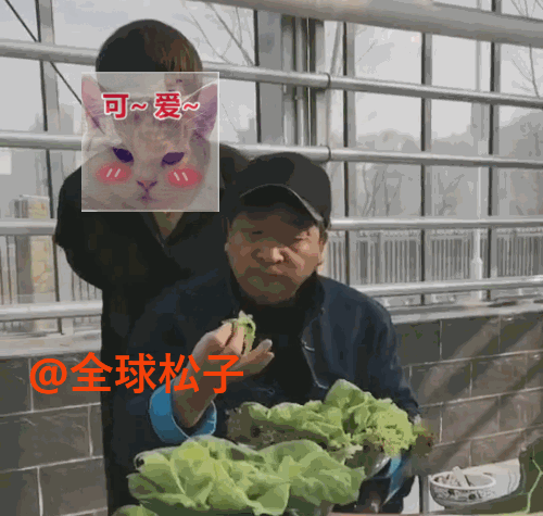 姜昆抱着刚摘没洗的青菜大口咀嚼,与美女合影开怀大笑