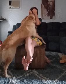 少女自闭症发作不断自虐,狗狗用身体暖主人的心!主人