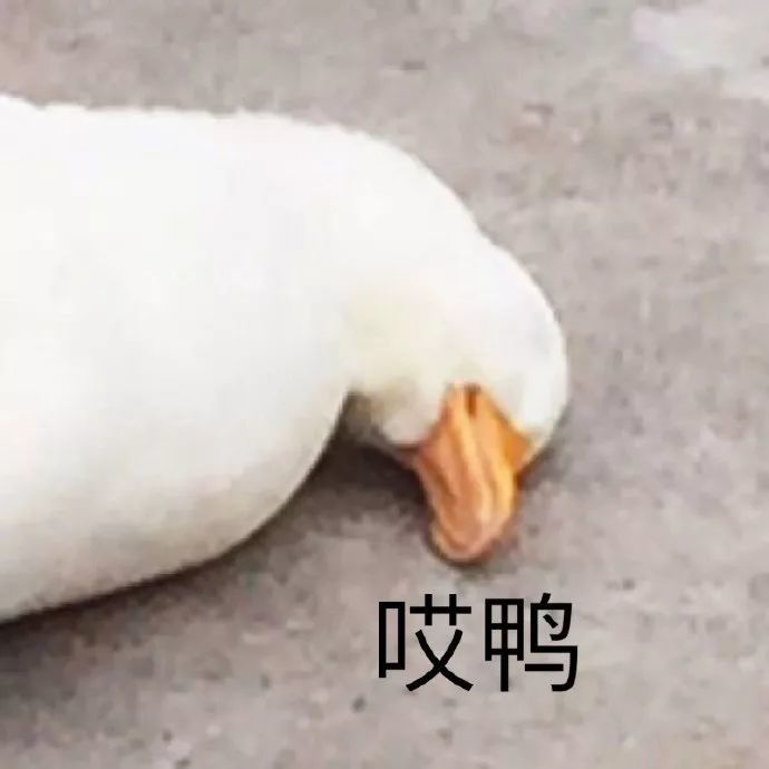 你最不喜欢什么口味的方便面/表情包