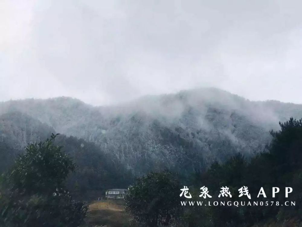 龙泉迎来2020年第一场雪