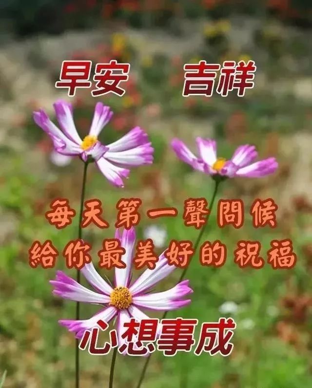 1月28日鼠年最新版早上好漂亮动态祝福图片,微信很赞的早上动画图片