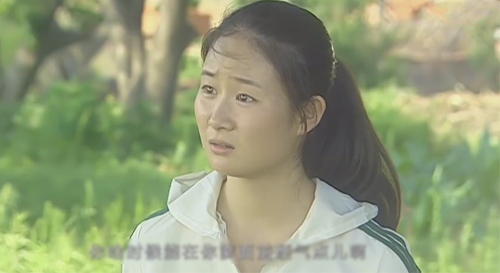 乡村爱情,宋晓峰,永强,王亚彬,刘英,赵玉田,宋青莲,李大国,轻喜剧