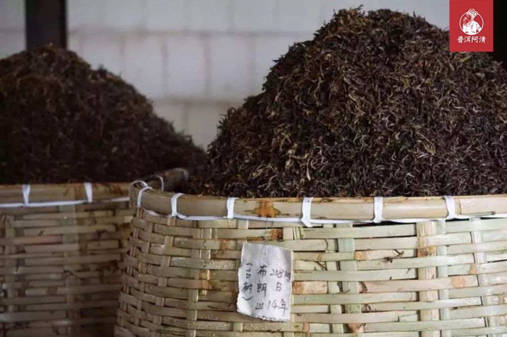普洱茶,普洱熟茶,发酵,茶叶