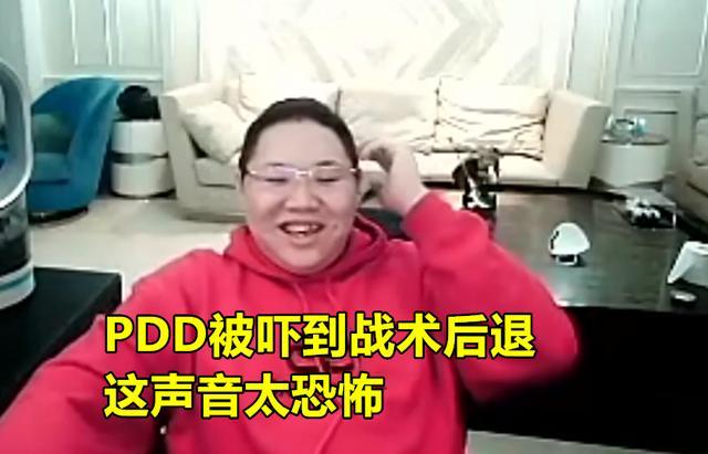 pdd找女陪玩出事故,连麦时出现"55开声音",骚猪吓到战术后退