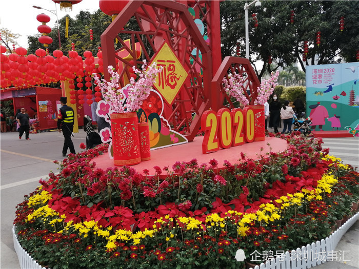 广东人过春节的标配:逛花市,买年花,大门口摆放金桔盆栽