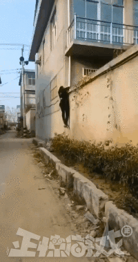 正惊gif:一招辨别南北方!美女同学吃雪糕,舌头为何不能动弹?