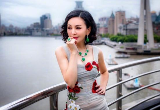 琼瑶剧,刘国景,情深深雨蒙蒙,豪门,王琳