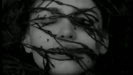 在长时间见不到雌性的情况下,即便是一条美人鱼,也让温斯洛春心荡漾.
