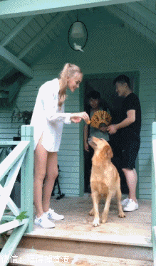 妹子,我想当你的宠物!真幸福!