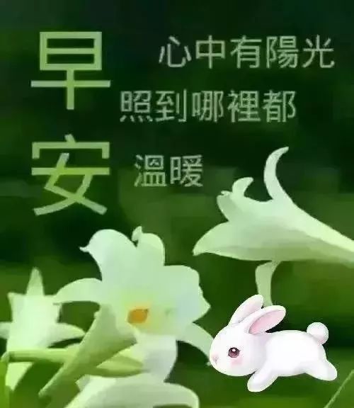 1月30日大年初六清晨早上好问候祝福动态表情图片 最美早晨好问候动态