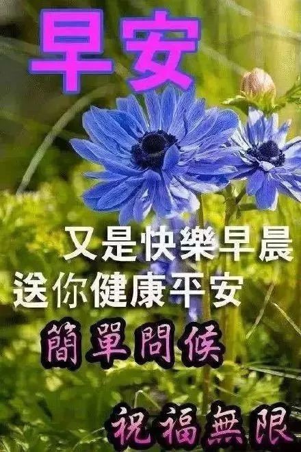 问候早上好祝福语图片带字动态表情,清晨祝福语暖心句子送给朋友