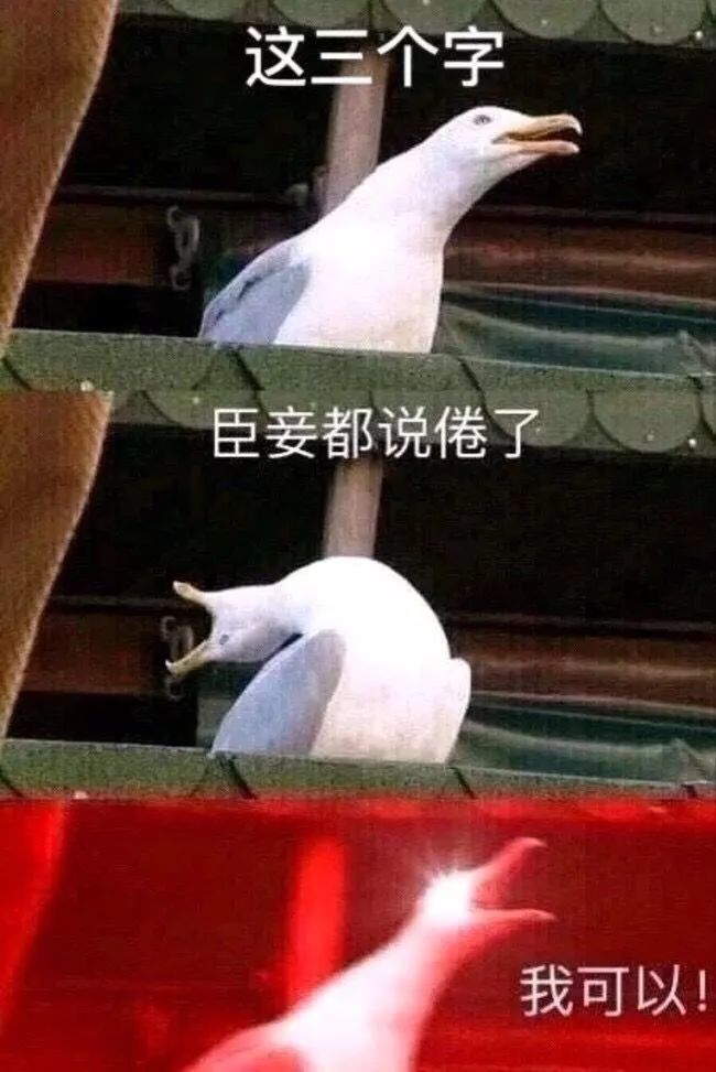表情包 啃你肉肉