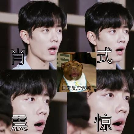 肖战,表情包,x玖少年团
