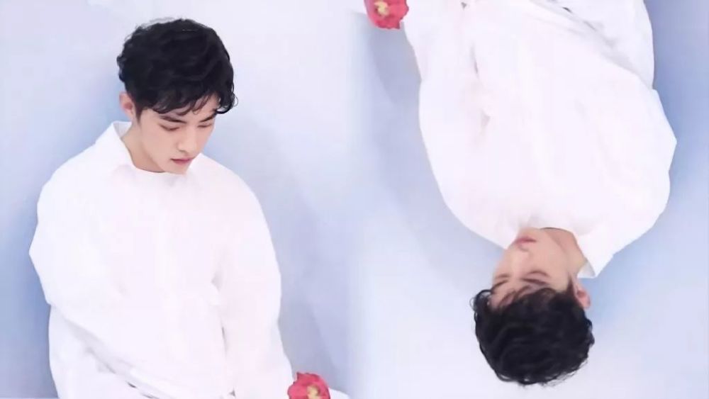 肖战手机壁纸电脑壁纸全面屏壁纸@x玖少年团肖战daytoy