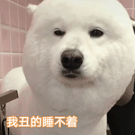 表情包:我现在只想搞钱
