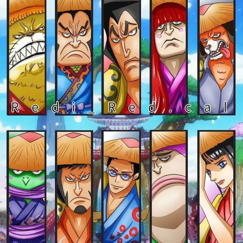 海贼王,光月御田,赤霄九侠,漫画,动漫,acg,二次元,凯多