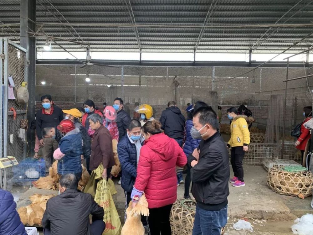 梧州人,别在龙圩"抓鸡"了!这里禁止活禽交易,还有这些