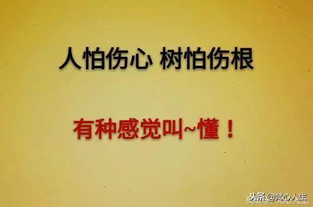 知人,知面,知心 人倒了,还能扶起来;人心倒了,就扶不起来了