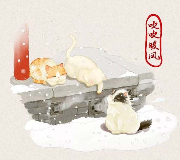 "猫"在故宫:从文物到文创,宫猫们的幸福生活