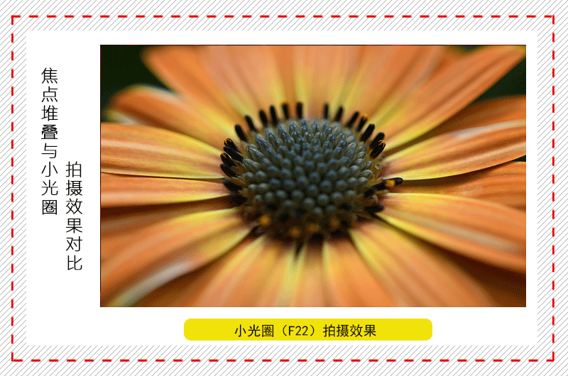 使用小光圈不是最佳选择,要用焦点堆栈