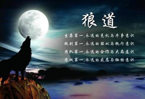 读《狼道》有感:这个世界上没有对与错,只有强与弱