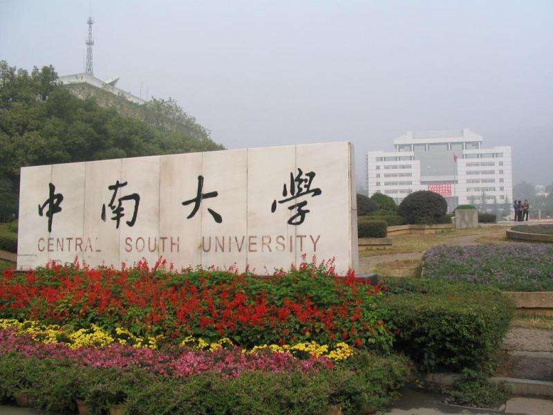 武汉大学,中南大学,985,211,高考