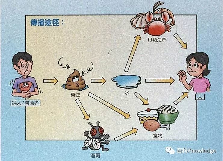 传染病,新型冠状病毒,狂犬病,流行性乙型脑炎