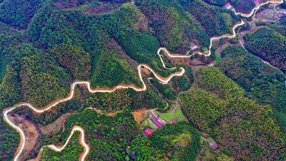 江西吉安:航拍富足村竹富公路 蜿蜒盘旋景致独特