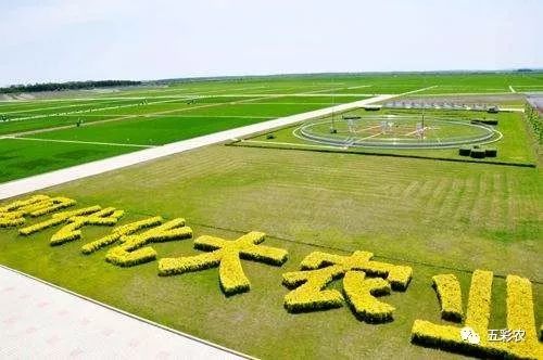 2020年现代农业产业园申报条件及流程