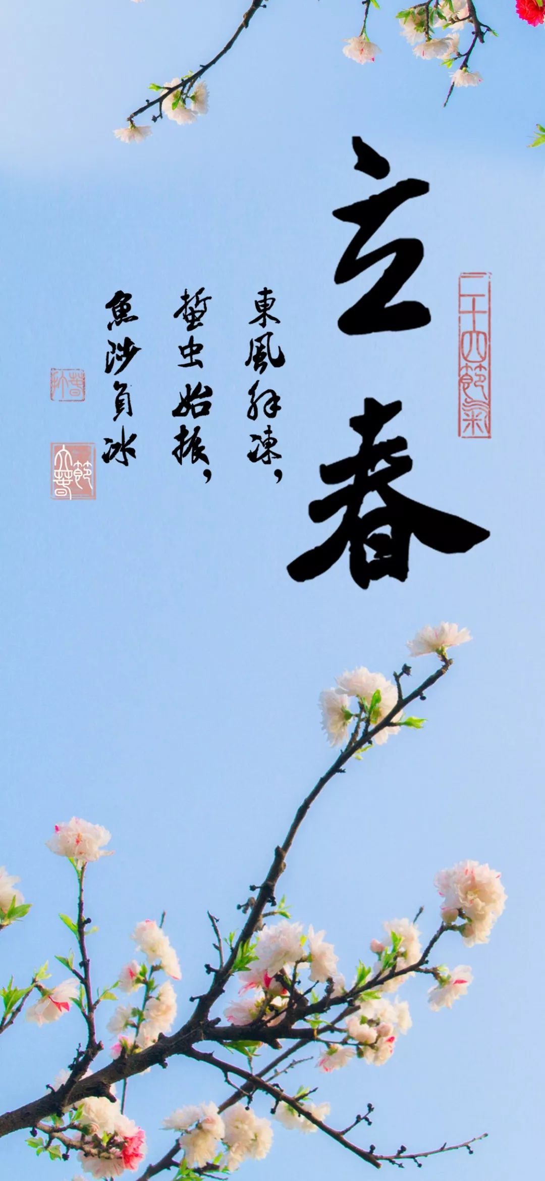 立春,唐·上官婉儿,迎春,节气