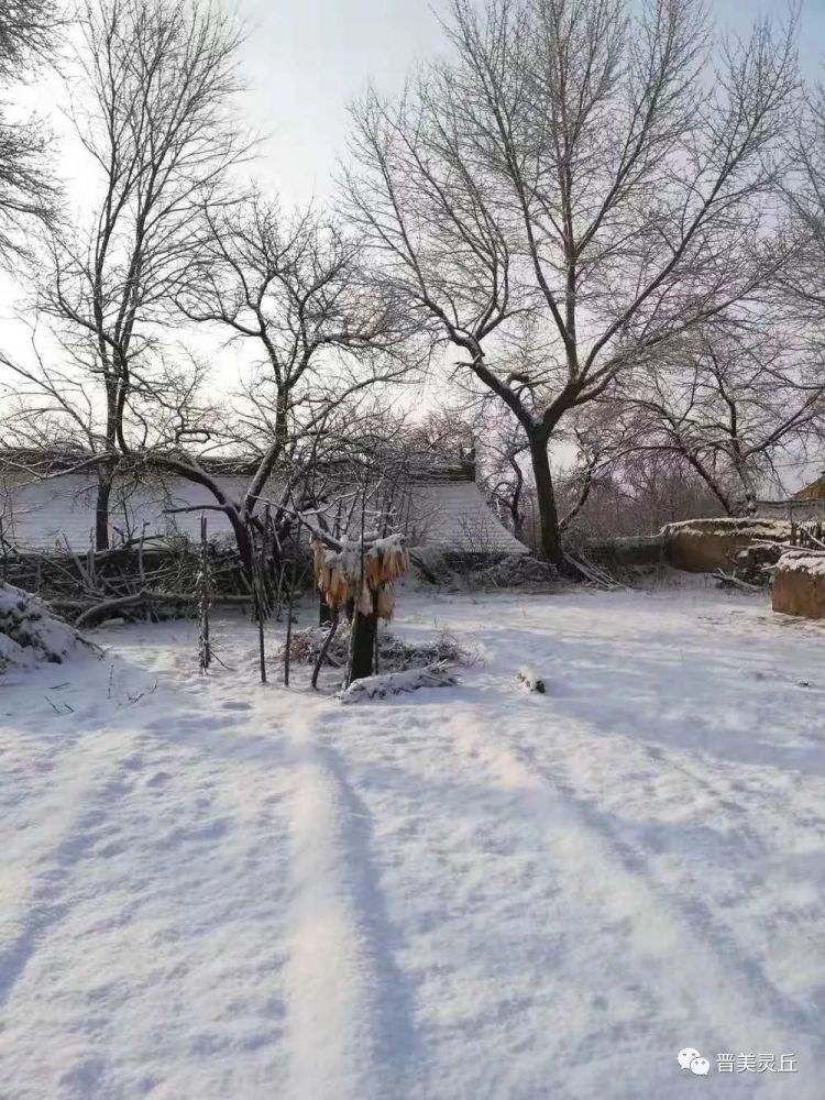 乡村清晨雪景图