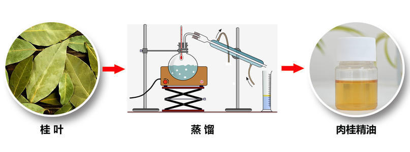 苍术油,丁香油,小茴香油,云木香油等,这类中药含有丰富的挥发油,具有