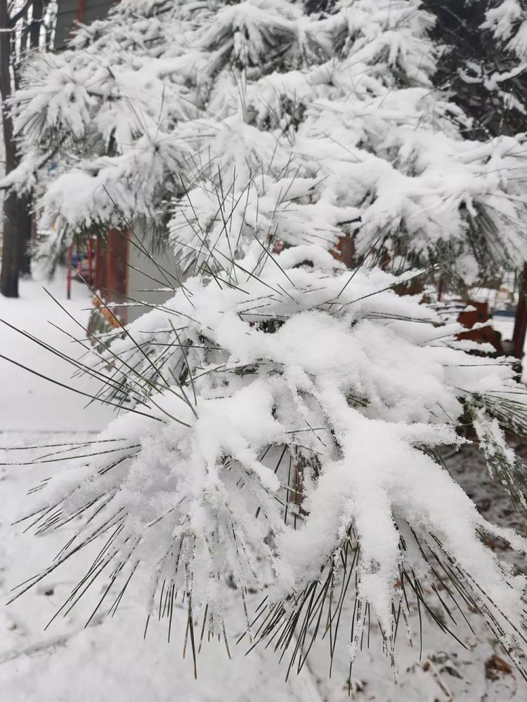 2020北京雪景手机拍摄和单反拍摄对比