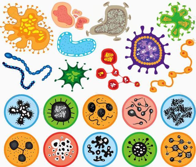 病毒,细菌,电子显微镜,微生物,显微镜