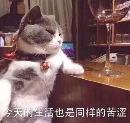 疫情结束后,第一件事情就是飞奔去见你