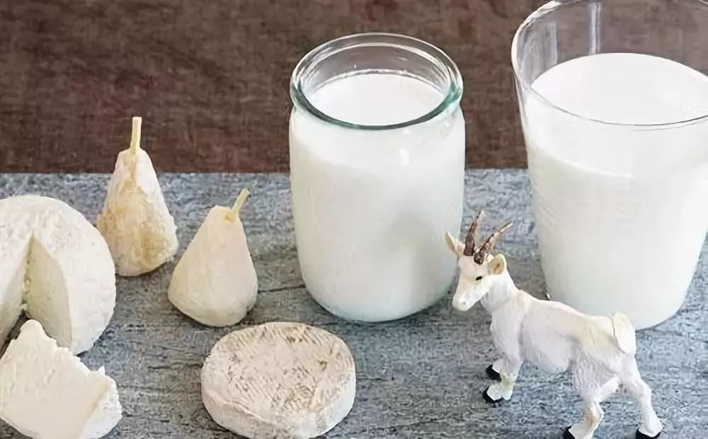 羊奶都有哪些功效和特点?